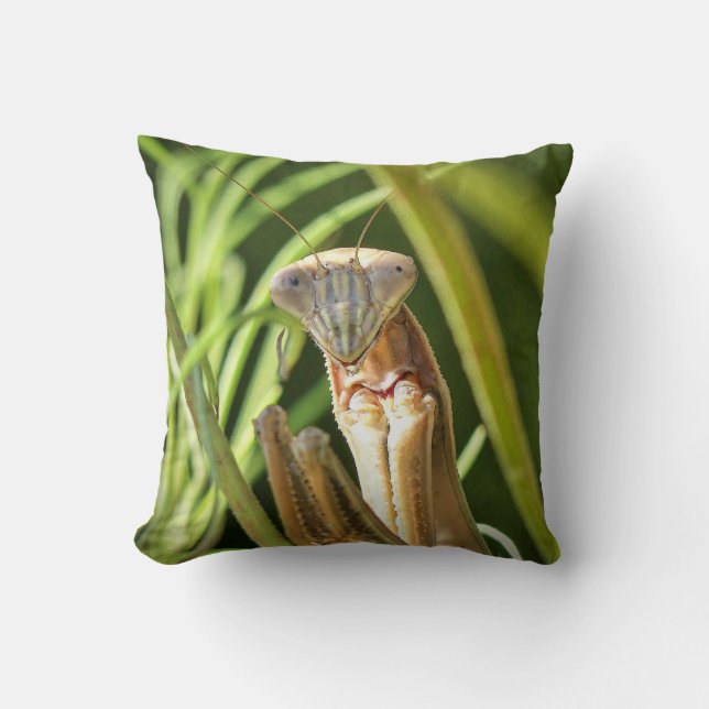 Coussin Prier Mantis (Recto)