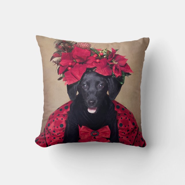 Coussin Projet d'animaux familiers d'abri - orteils de (Recto)
