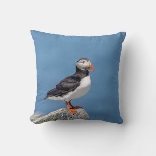 Coussin Puffin Atlantique en Machias, Maine