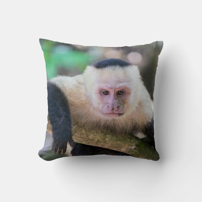 Coussin Pura vida pour singe capucin à tête blanche (Recto)