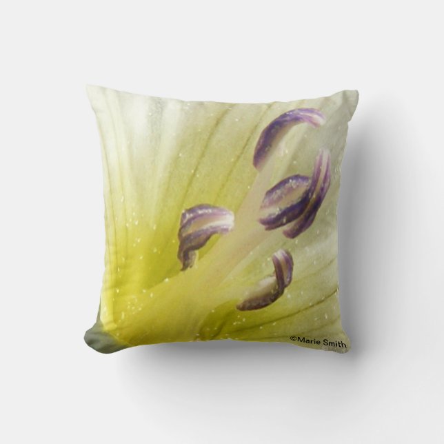 Coussin Pureté (Recto)