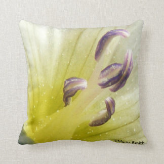 Coussin Pureté