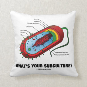 Coussin Quelle est votre culture secondaire ? (Bactérie de