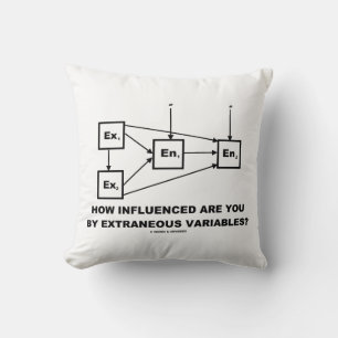 Coussin Quelle Influence Avez-Vous Sur Les Variables Extra