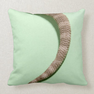Coussin Queue de dragon barbu