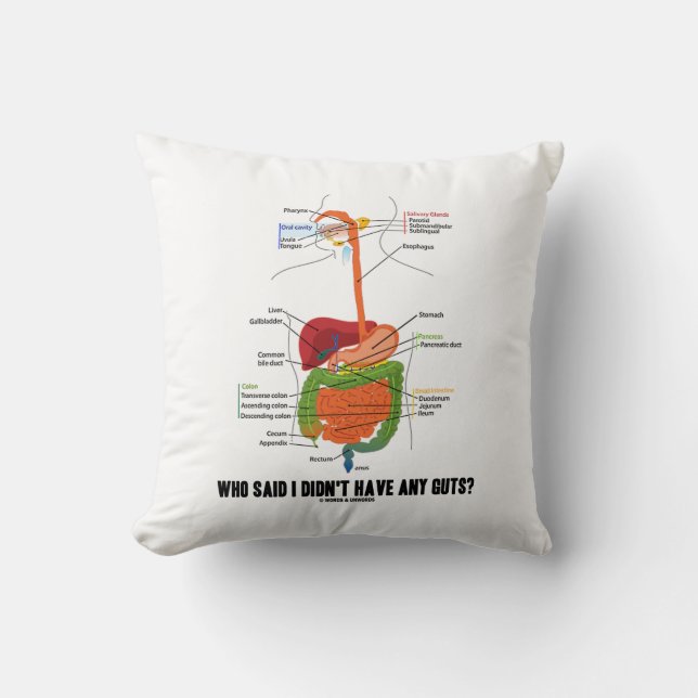 Coussin Qui a indiqué que je n'ai eu aucune entraille ? (Recto)