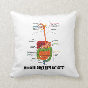 Coussin Qui a indiqué que je n'ai eu aucune entraille ?