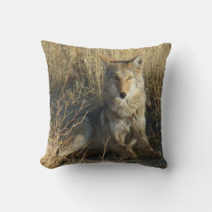 Coussin R15 Coyote Couché