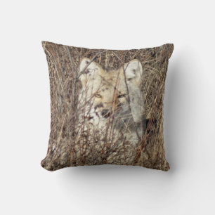Coussin R21 Coyote "Vous regarder"