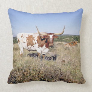 Coussin Race du Texas Longhorn (photo)