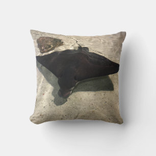Coussin Raie pastenague
