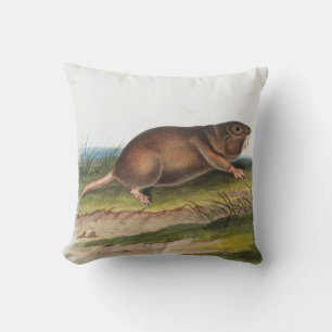 Coussin Rat Poché Sud, Schrew Mole Illustration
