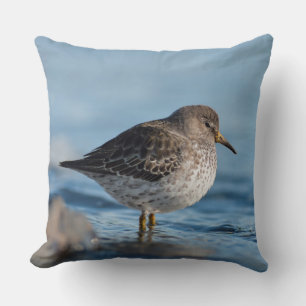 Coussin Recherche de Bécasseau