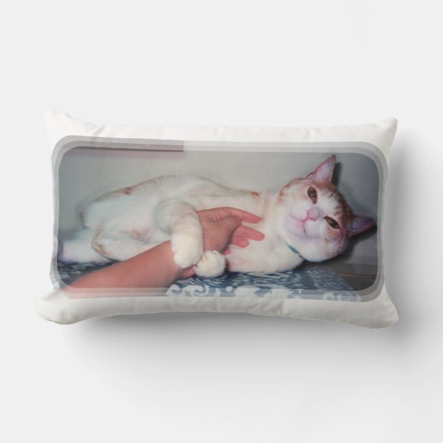 Coussin Rectangle 可愛い猫["You can hold me often" a cat 'kawaii'] (Recto)