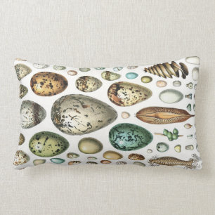 Coussin Rectangle 1897 OEUFS ANIMAUX de Meyers Konversations-Lexikon