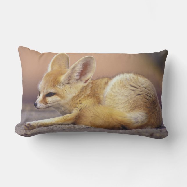 Coussin Rectangle Afrique du Nord. Fennec Fennecus zerda) (Recto)