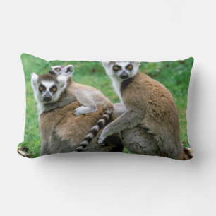 Coussin Rectangle Afrique, Madagascar, Antananarivo, Tsimbazaza