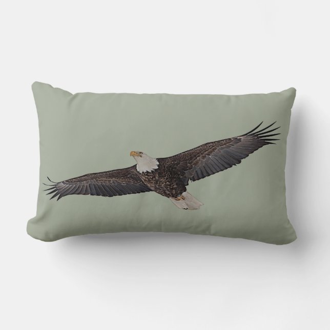 Coussin Rectangle Aigle à tête blanche (Recto)