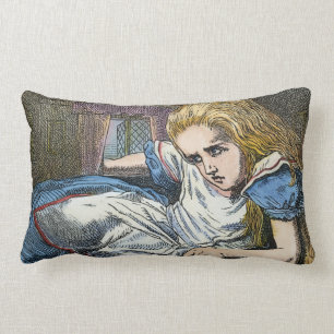 COUSSIN RECTANGLE ALICE AU PAYS DES MERVEILLES