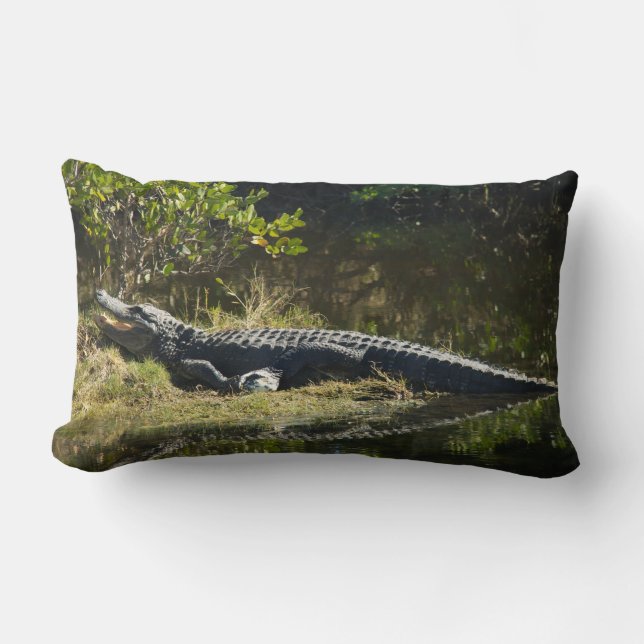Coussin Rectangle Alligator de Floride sur une rive herbeuse – Marai (Recto)