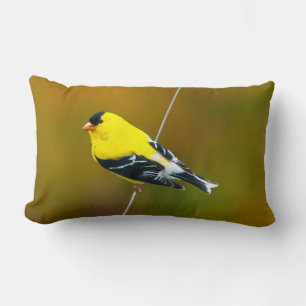 Coussin Rectangle American Goldfinch - Photo originale
