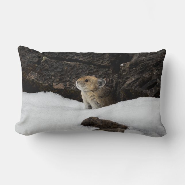 Coussin Rectangle American Pike dans Snowbank (Recto)