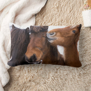 Coussin Rectangle Amis du cheval islandais, Islande