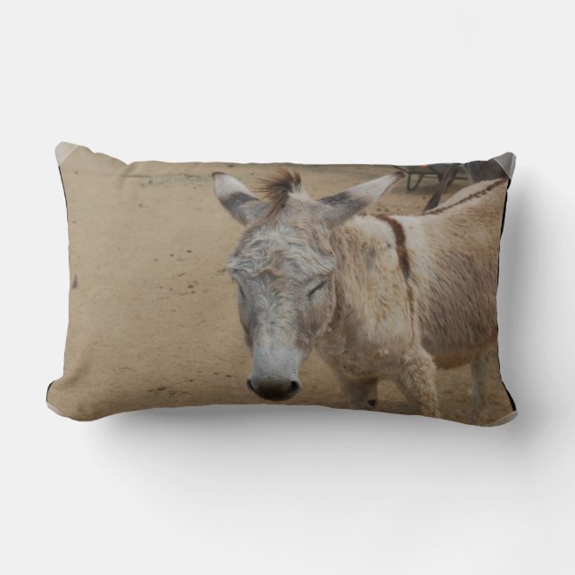 Coussin Rectangle Âne somnolent (Recto)