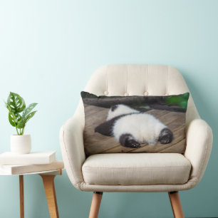 Coussin Rectangle Animaux de bébés cutest Bébé Géant Panda Dormir