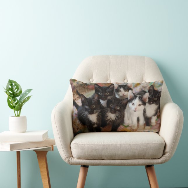 Coussin Rectangle Animaux de bébés cutest | Chatons noirs et blancs (Chaise)