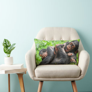 Coussin Rectangle Animaux de bébés cutest   Deux jeunes chimpanzés