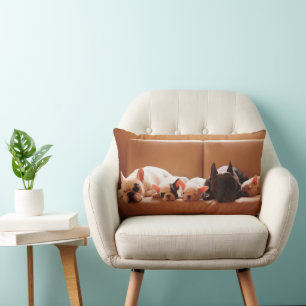 Coussin Rectangle Animaux de bébés cutest French Bulldog Family