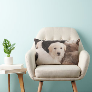 Coussin Rectangle Animaux de bébés cutest Un mignon seau de chiots