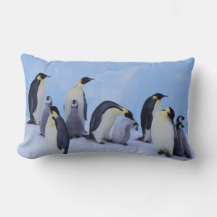 Coussin Rectangle Antarctique, Manchots empereurs