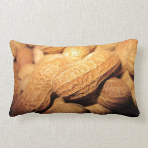 Coussin Rectangle Arachides