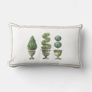 Coussin Rectangle Arbre en topiaire dans des jardinières en pierre 