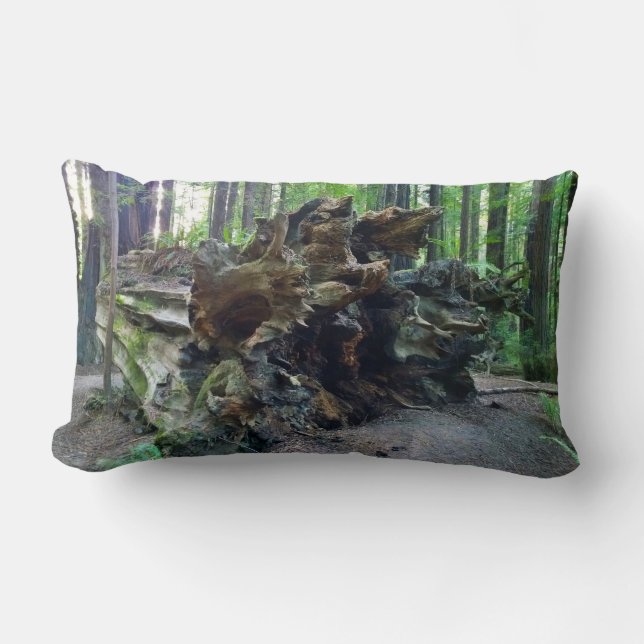 Coussin Rectangle Arbre séquestre géant tombé (Recto)