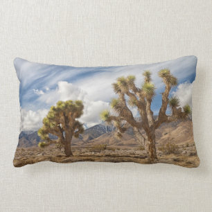 Coussin Rectangle Arbres de Joshua dans le désert