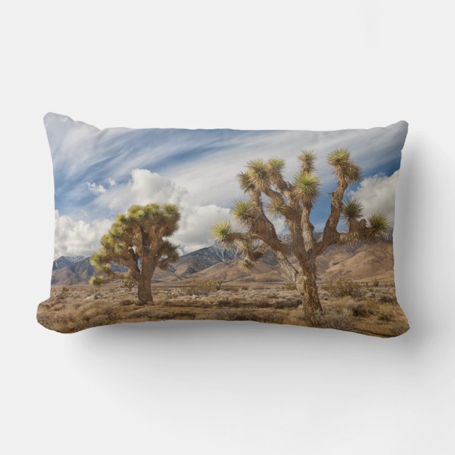 Coussin Rectangle Arbres de Joshua dans le désert (Recto)