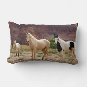 Coussin Rectangle Arizona, Navajo réserve indienne, Chinle,