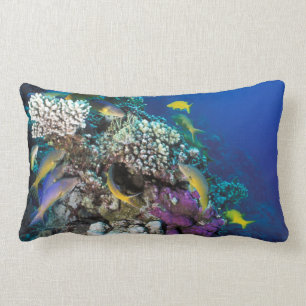 Coussin Rectangle Around Small Coral