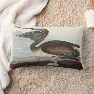 Coussin Rectangle Art Vintage Audubon Pélican Brun Oiseau de la Côte