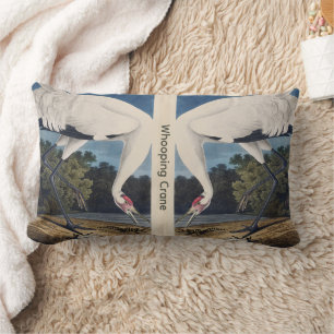 Coussin Rectangle Art vintage d'Audubon sur la grue criarde et la na