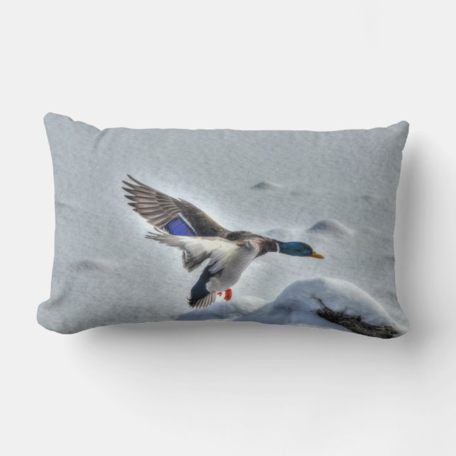 Coussin Rectangle Atterrissage de Mallard Duck Drake Photo de la fau (Recto)