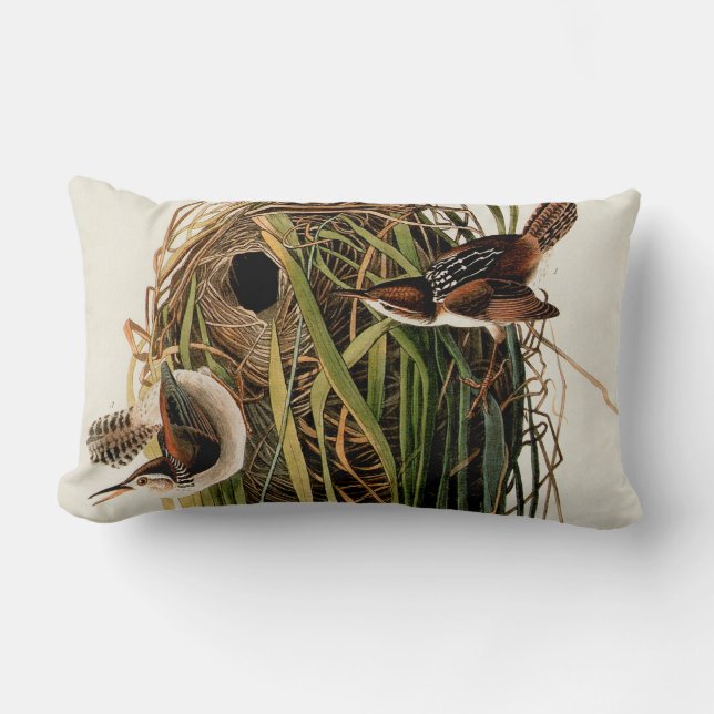 Coussin Rectangle Audubon Marsh Wren Bird Art (Recto)