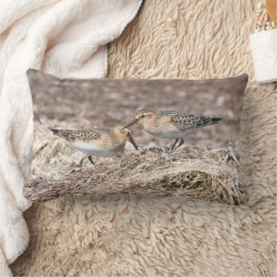 Coussin Rectangle Baird's Sandpipers sur Autumn Beach