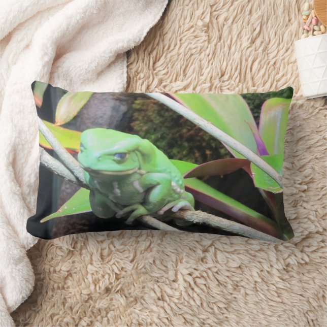 Coussin Rectangle Balancer la grenouille (Couverture)