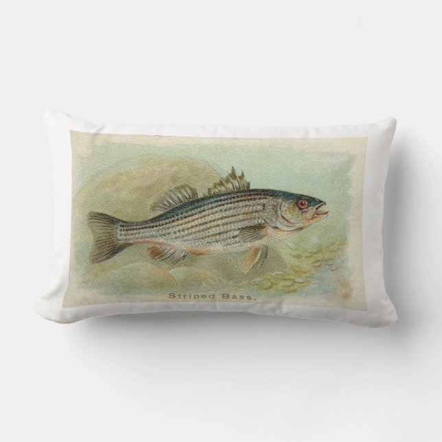 Coussin Rectangle Bar d'Amérique (Recto)
