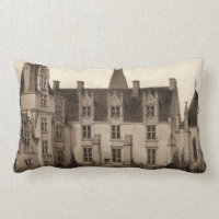 Beau Château français à Sepia Tones