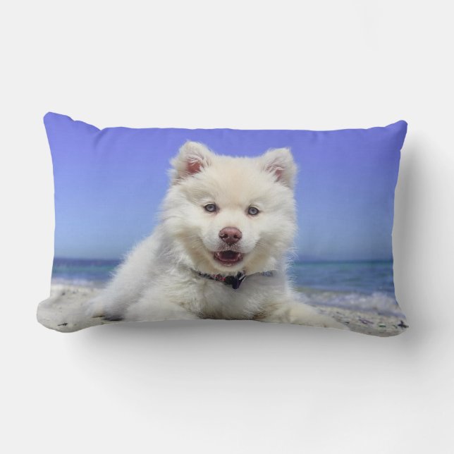 Coussin Rectangle Beau chien Samoyède (Recto)